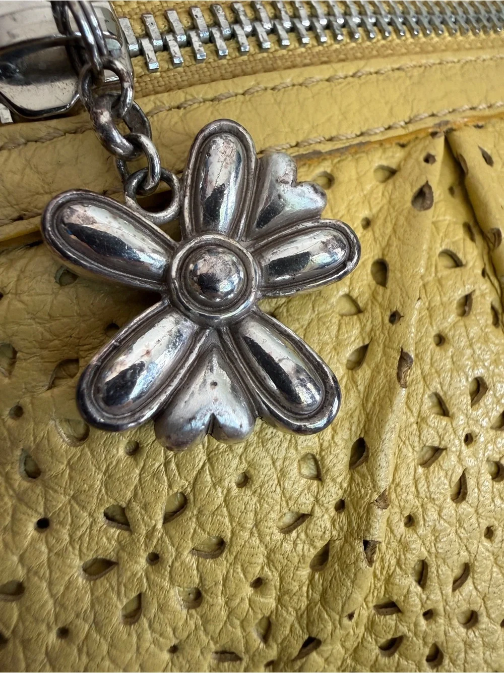 Brighton classic daisy